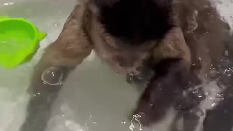 Bath time!!