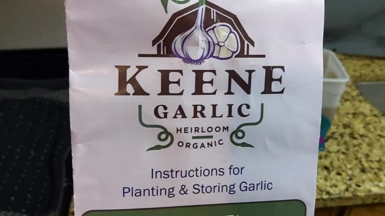 Fertilize Your Garlic Cloves Before You Plant Them 10/12/23