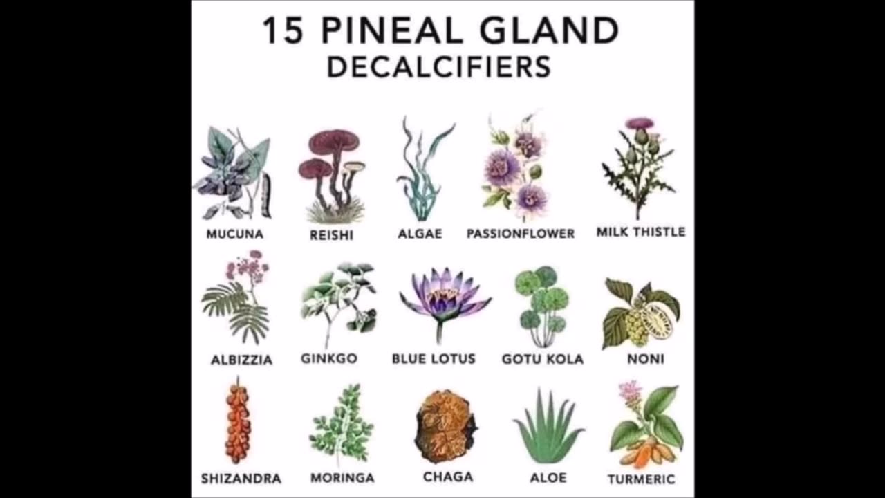 Health - Pineal Gland