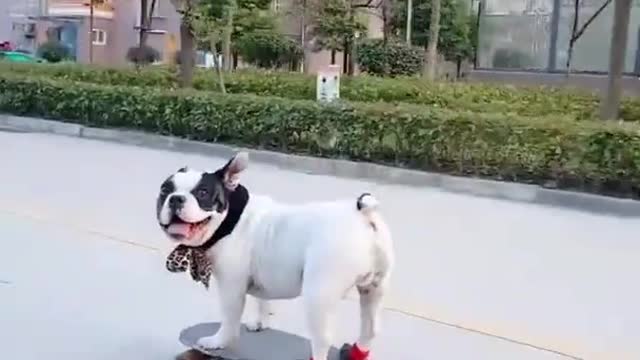 LET's Race...