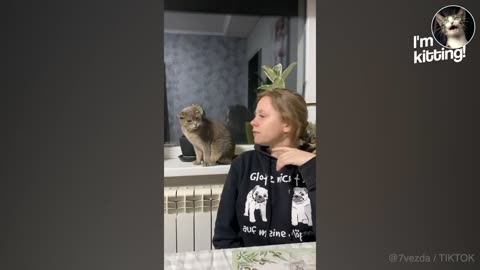 CAT-ASTROPHE MONDAY 11/25/24
