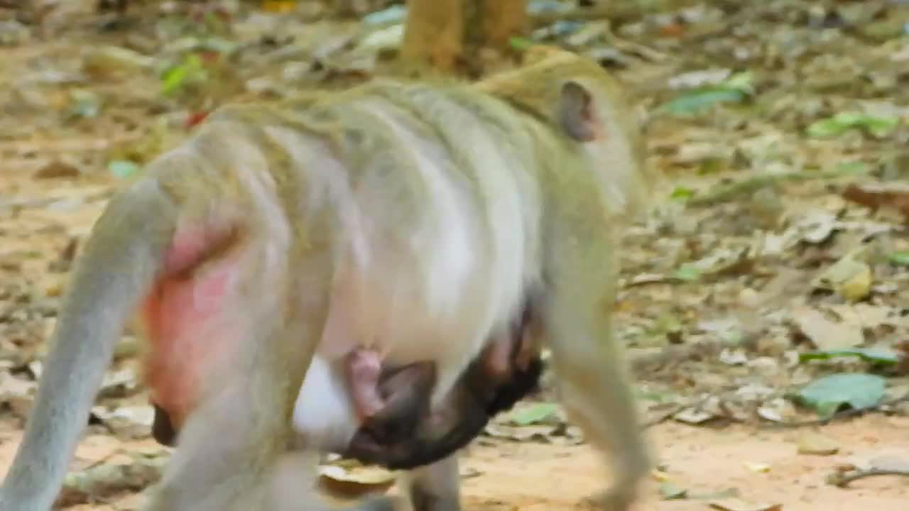 Brinn Show Her Worry To Branda When Ginger