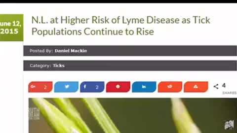 Lyme Disease and Plum Island