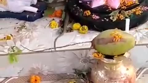 Jay bhola nehat