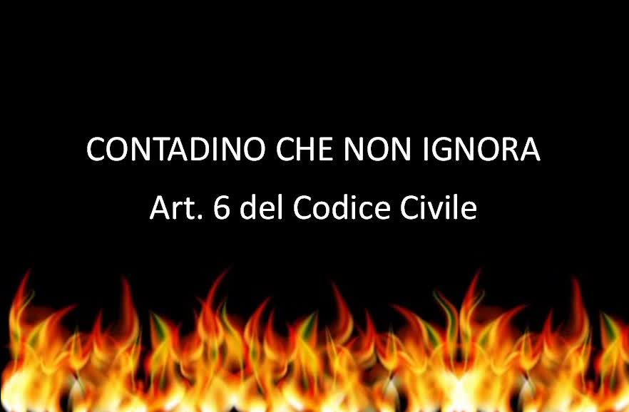 AUDIO EXTRA: Art. 6 del Codice Civile + link doc. DOLO citato nell'audio