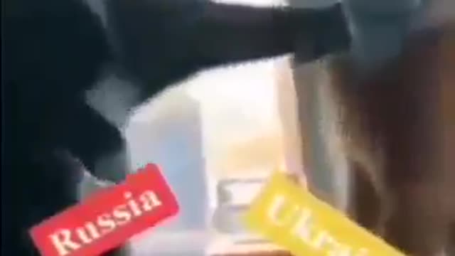 Rusko - Ukrajina - NATO - Kočičí pohled