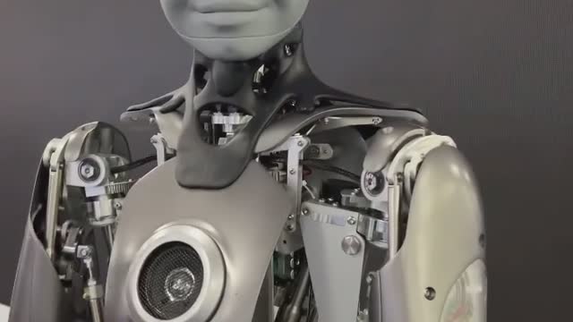 Robot intract with human