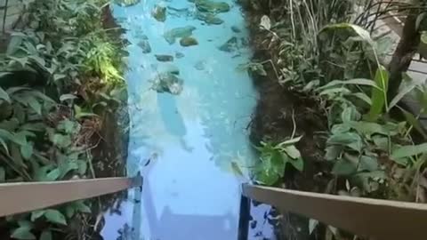 Beautiful Water