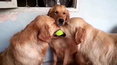 “I don’t want the ball, I just want to feel included"...