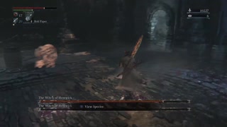 Bloodborne Witch of Hemwick Boss fight