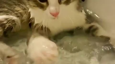 The water is delicious