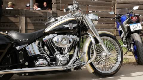 Harley Davidson short view