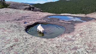 Puddle playing 1