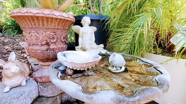 Solar bird bath fountain