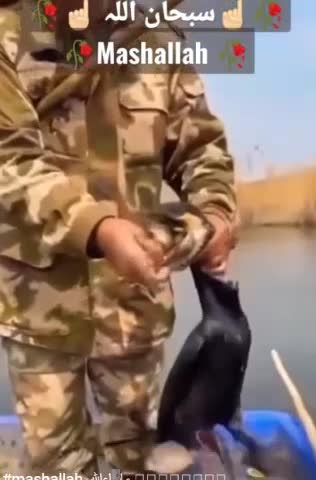 FISHING FAST