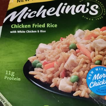 Eating Michelina's Chicken Fried Rice, Dbn, MI, 8/15/23