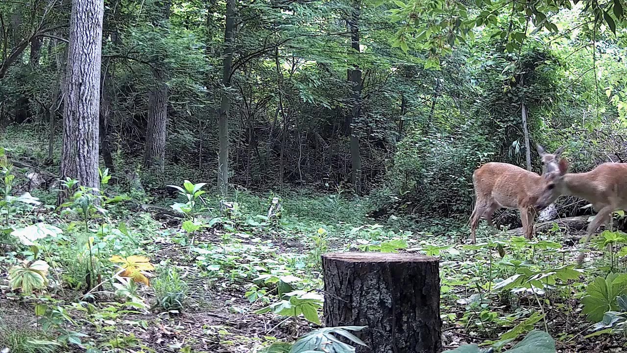 EP- 10, Back 40 Ranch Trail Crossing