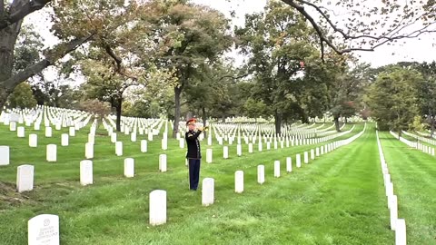 Honor The Fallen： TAPS