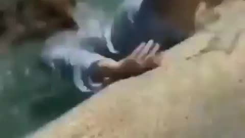 wow