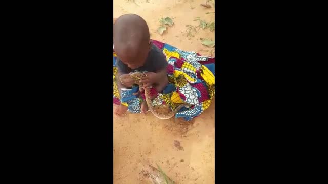 A baby playing with a Snake