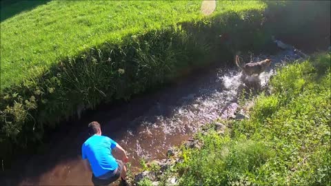 Owner playing with his German Shepherd