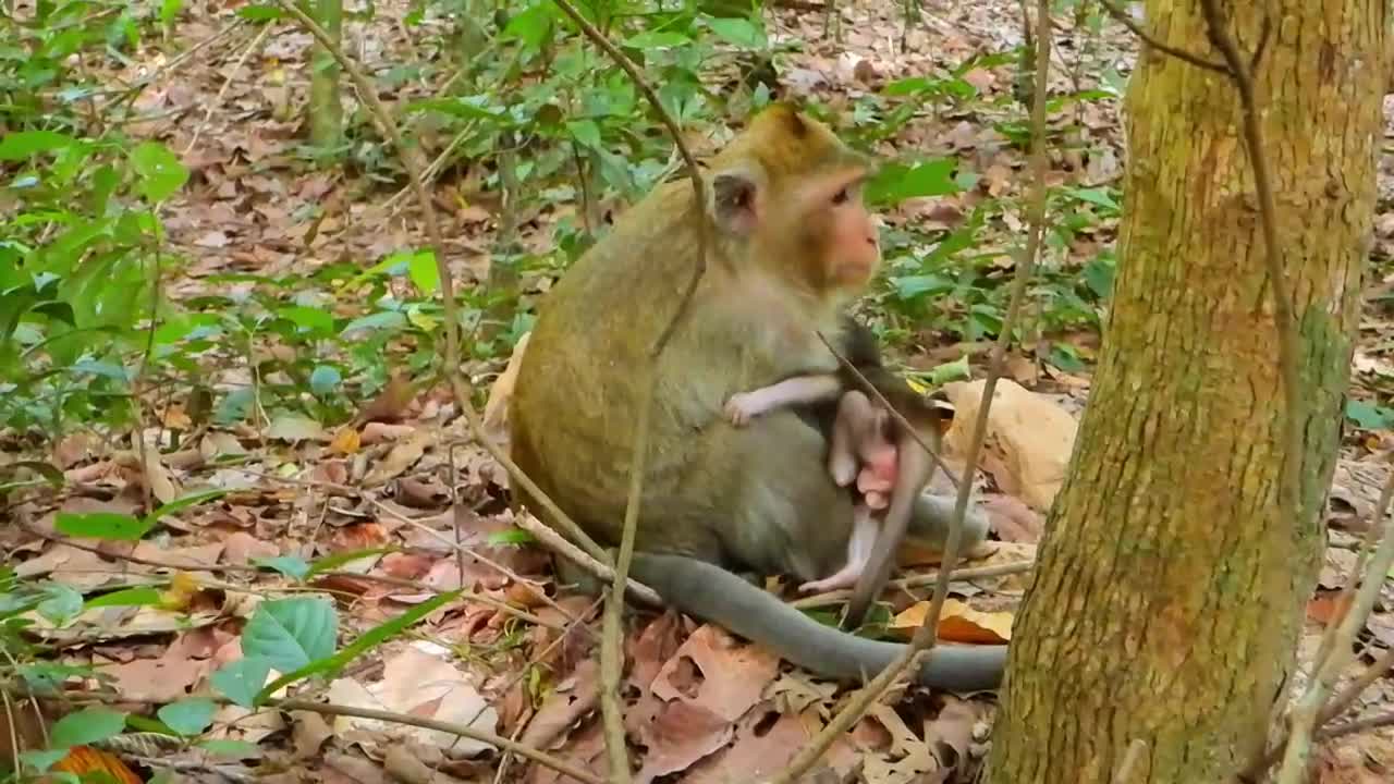 Brinn and Ginger with their kids