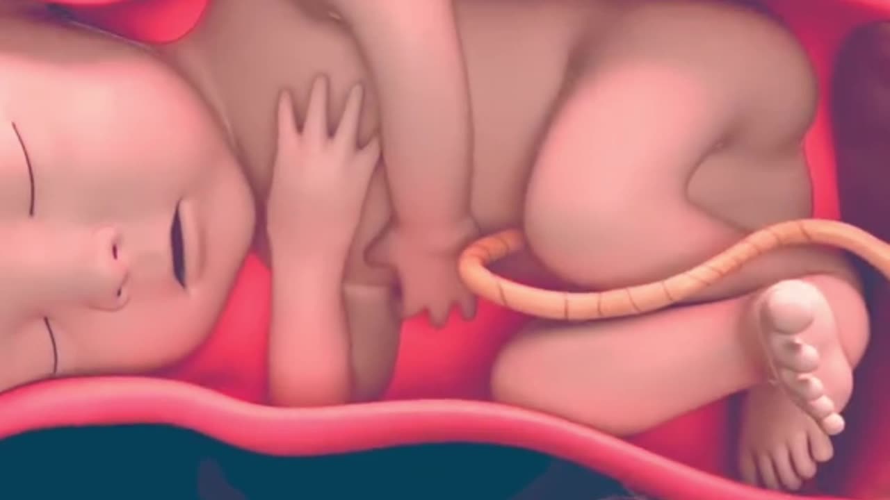 How a Baby is Born | Normal Delivery | 3D Animation