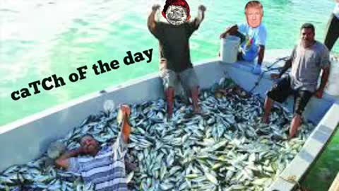 TCF DOCK CAM Election night