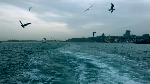 Sailing in Istanbul