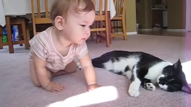 Baby and Cat