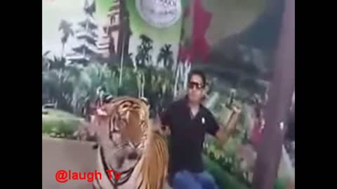 Whatsapp Funny Pranks Try Not To Laugh Challenge
