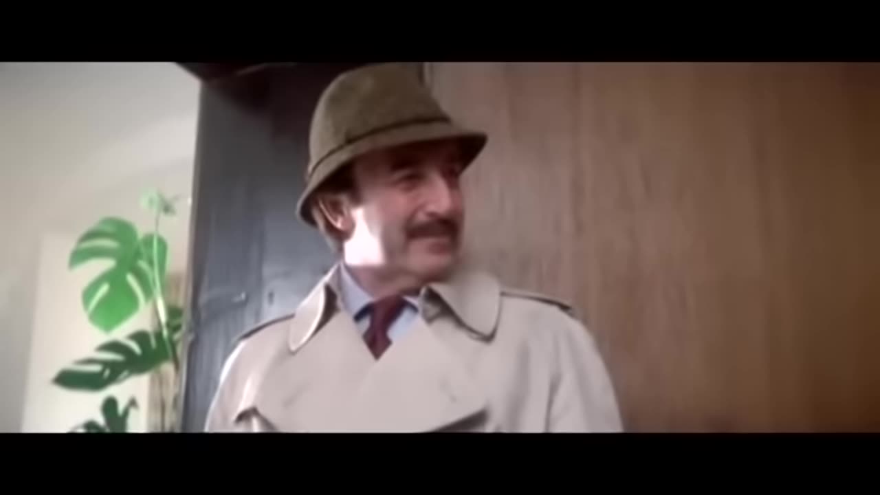 Pink Panther Inspector Clouseau montage