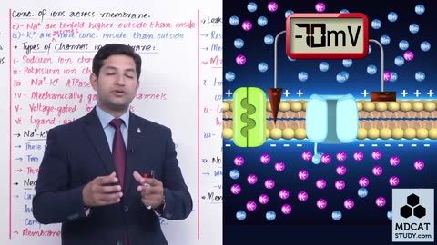 LEC#10 NERVE IMPULSE (RMP)