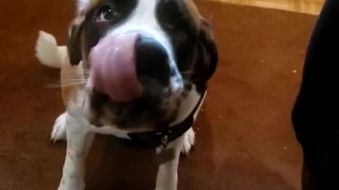 She loves peanut butter