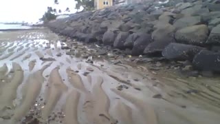 Filmando as pedras e as dunas de areia na praia seca, muito legal! [Nature & Animals]