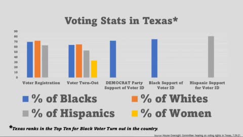 Voter Integrity
