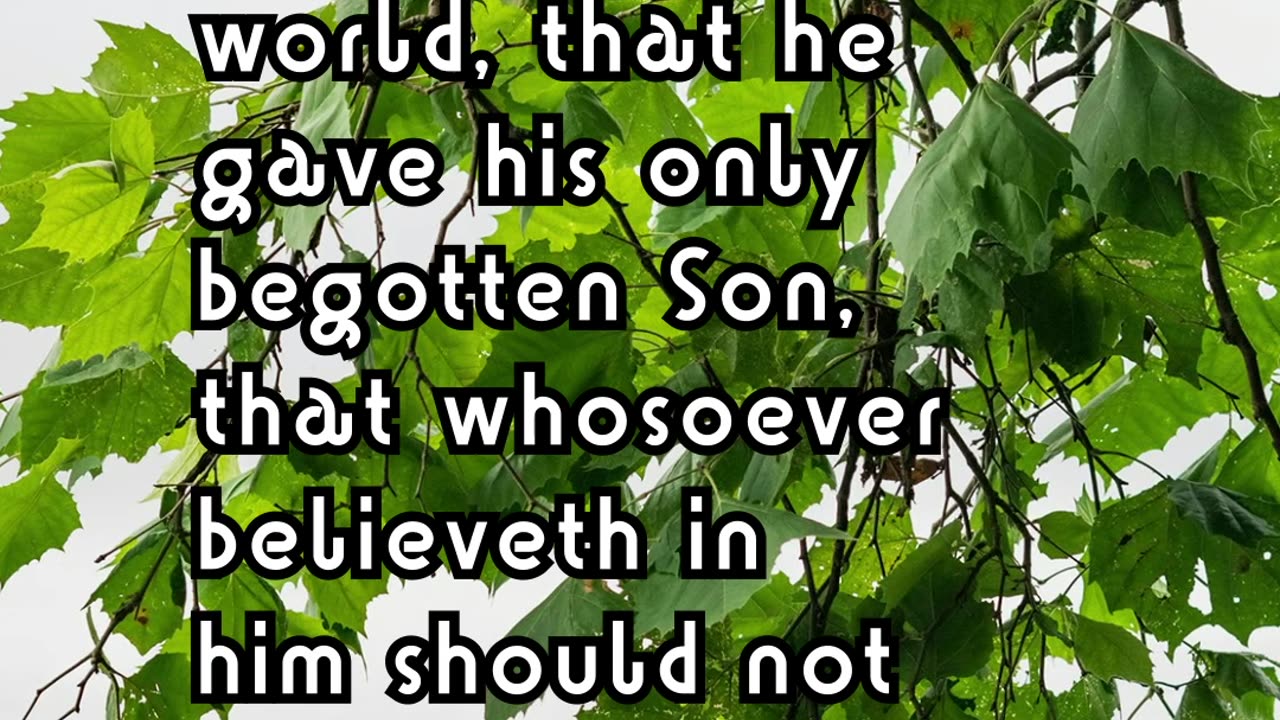 Believe on the Lord Jesus Christ, and thou shalt be saved. - Acts 16:31