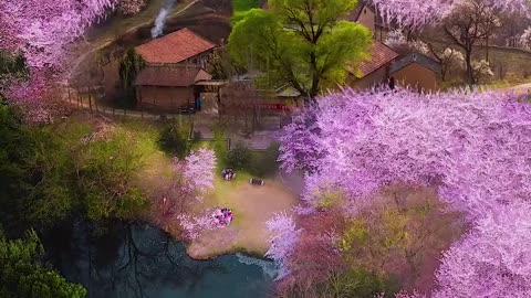 What a pink village.