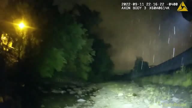 Amsterdam PD Sergeant rescues 15-year-old dog from a creek