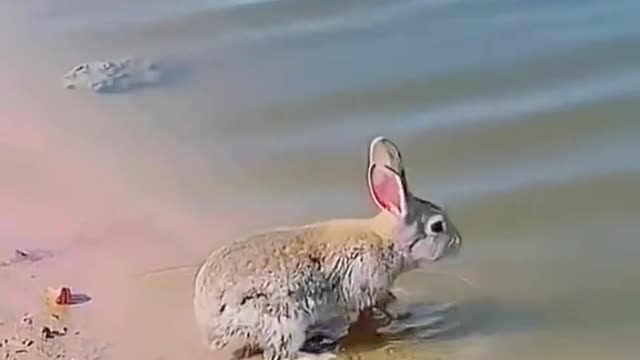 Don't underestimate me, I'm a swimmer, let you see how good I am