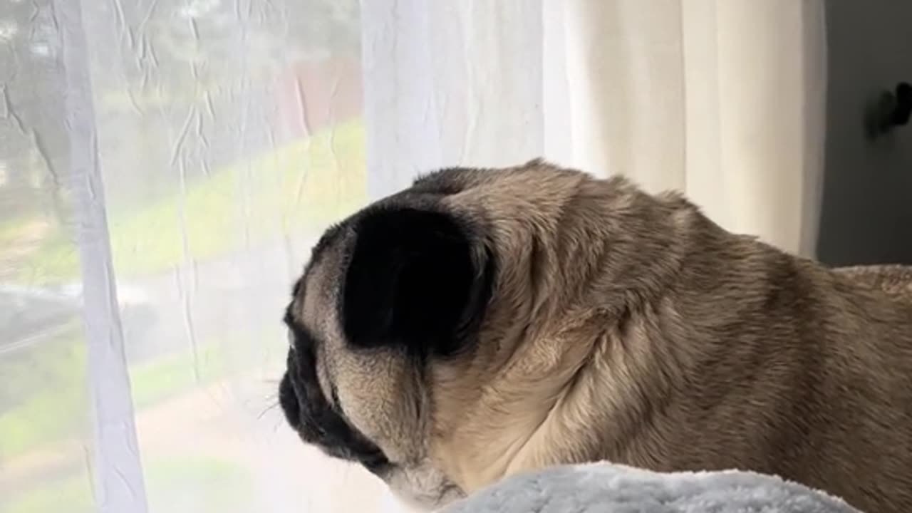 Tantrum Tuesdays 😂😂😂