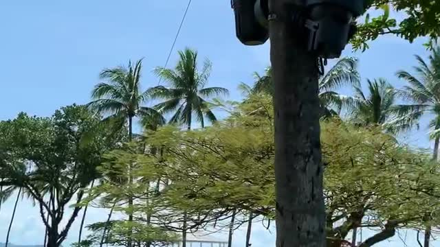 Take a round in a peaceful and beautiful resort!