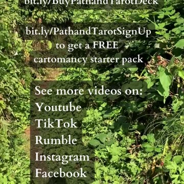 Build The Future You Desire | Path and Tarot Reading