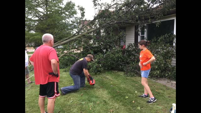 Tree Cutting Fail