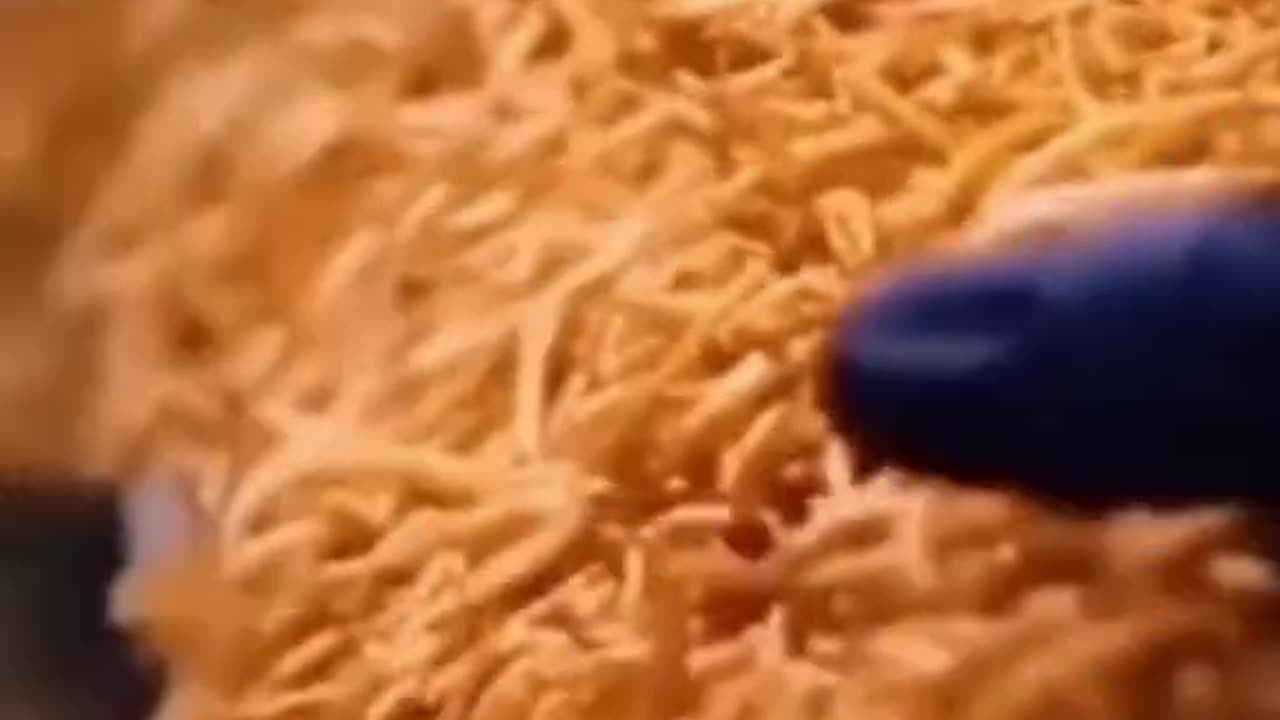PROTEIN POWDER IS MADE FROM INSECTS