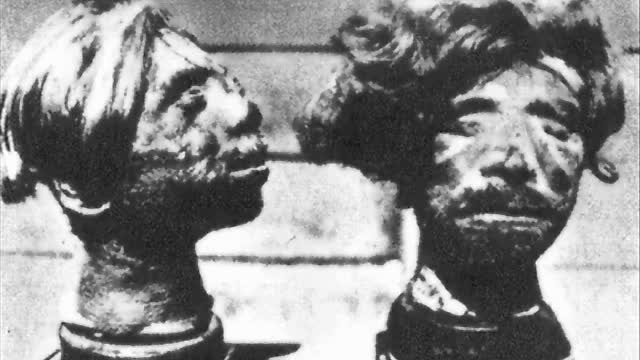 We Don’t Believe You (Illustrated Version)