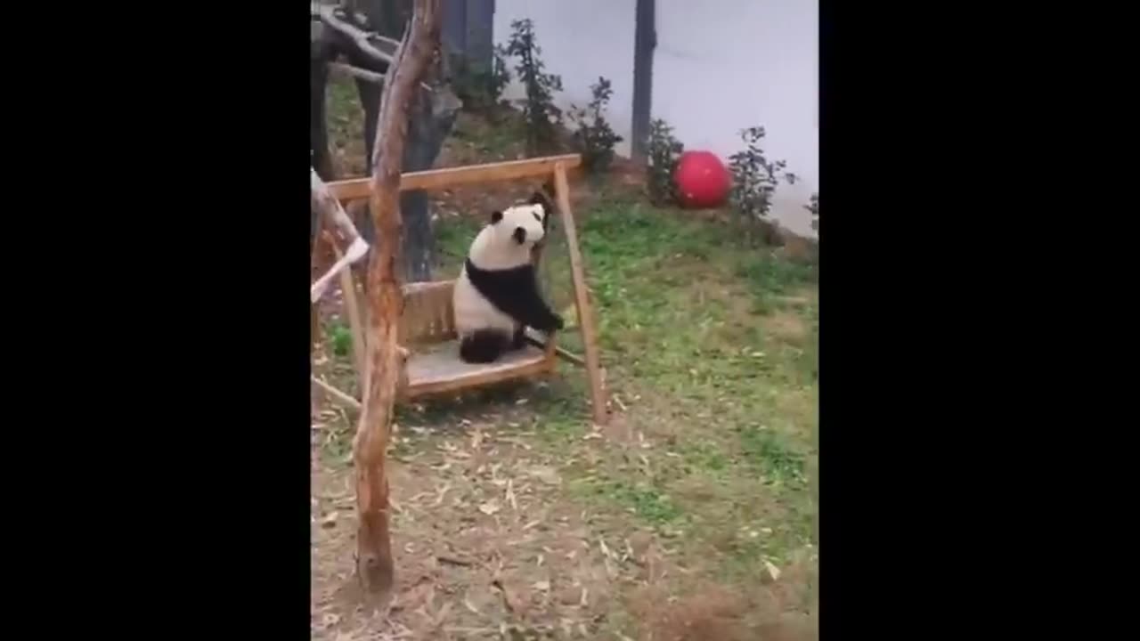 Funny Moments Of The Year Compilation 😆🔥