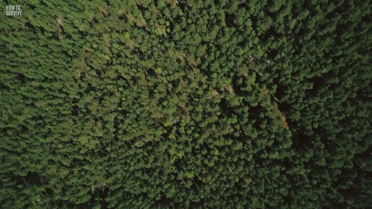 HOW TO SURVIVE A LANDSLIDE