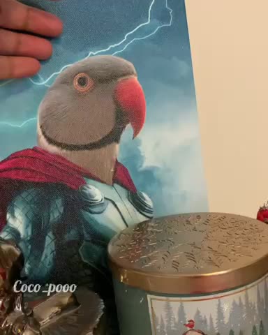 Do I look like Thor?