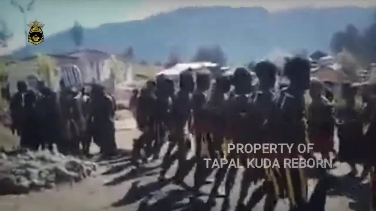 LATEST NEWS - OLD COFFEE HELUKA THREATS THE FATE OF KKB IN PAPUA - HORSEHOUSE REBORN